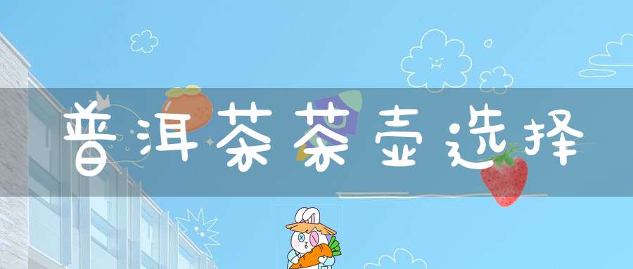 普洱茶茶壶选择