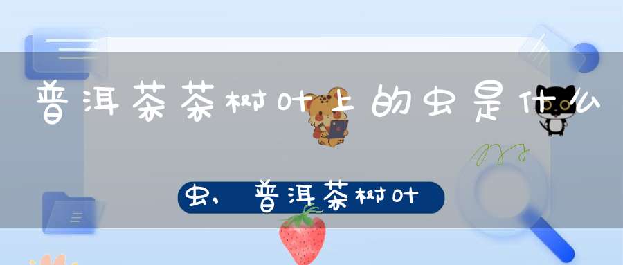 普洱茶茶树叶上的虫是什么虫,普洱茶树叶