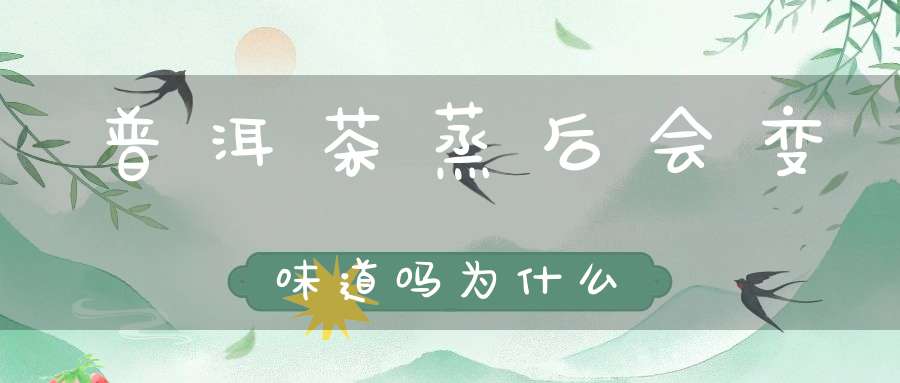 普洱茶蒸后会变味道吗为什么