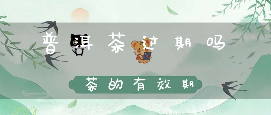 普洱茶过期吗茶的有效期