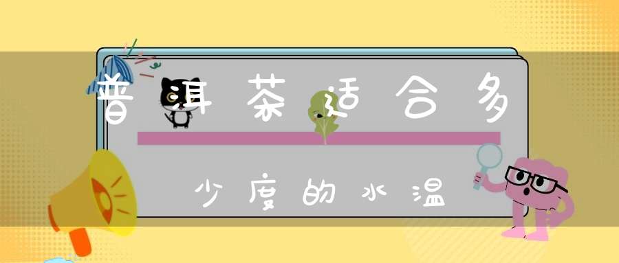 普洱茶适合多少度的水温