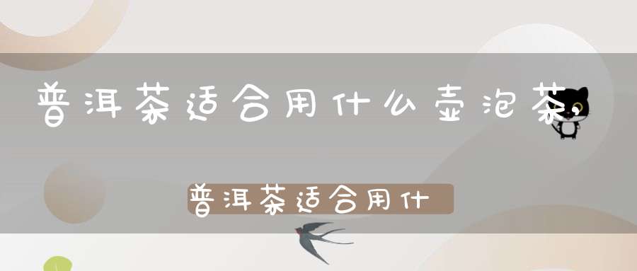 普洱茶适合用什么壶泡茶,普洱茶适合用什么壶泡比较好
