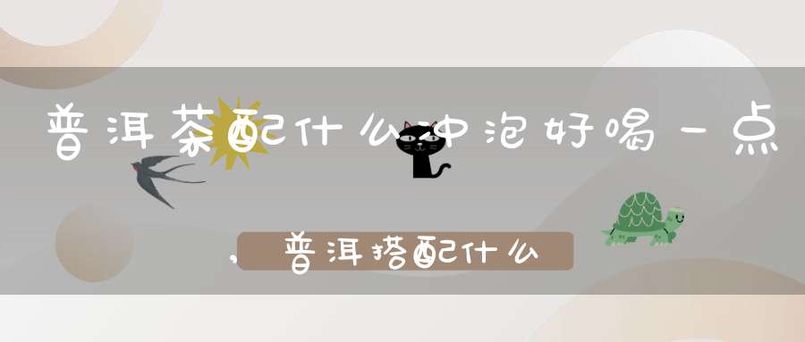 普洱茶配什么冲泡好喝一点,普洱搭配什么泡茶