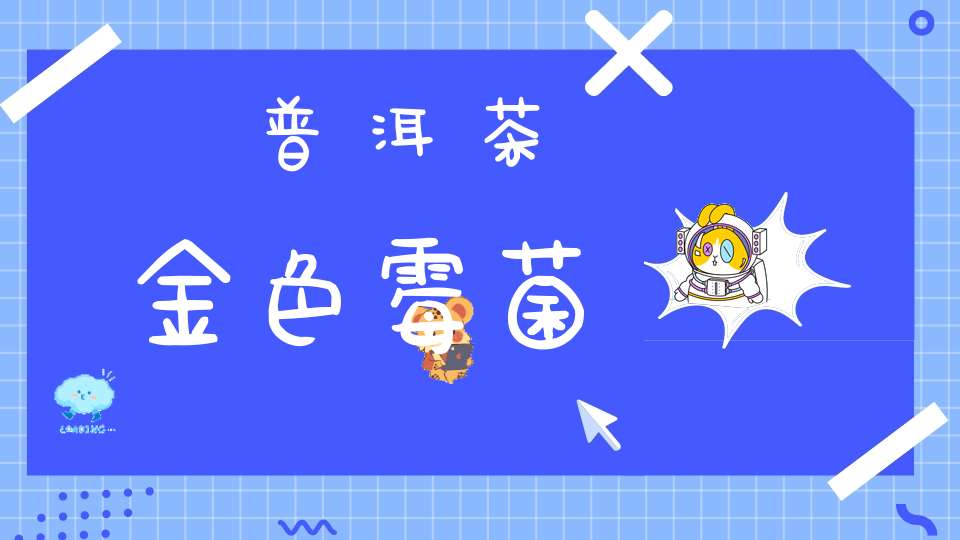 普洱茶金色霉菌