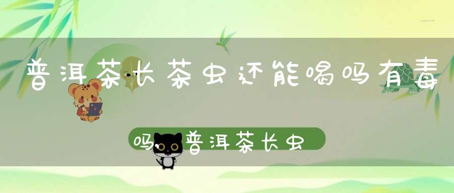 普洱茶长茶虫还能喝吗有毒吗,普洱茶长虫子