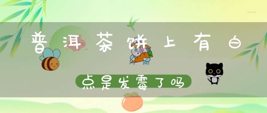 普洱茶饼上有白点是发霉了吗