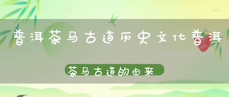 普洱茶马古道历史文化普洱茶马古道的由来