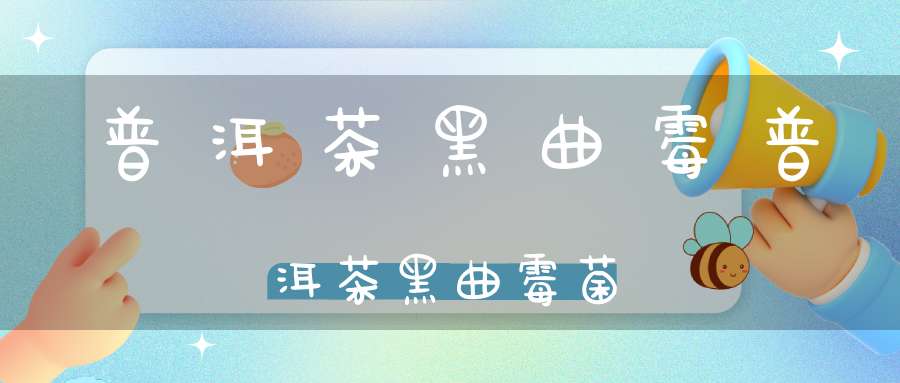 普洱茶黑曲霉普洱茶黑曲霉菌