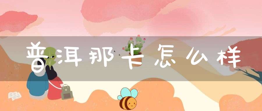 普洱那卡怎么样