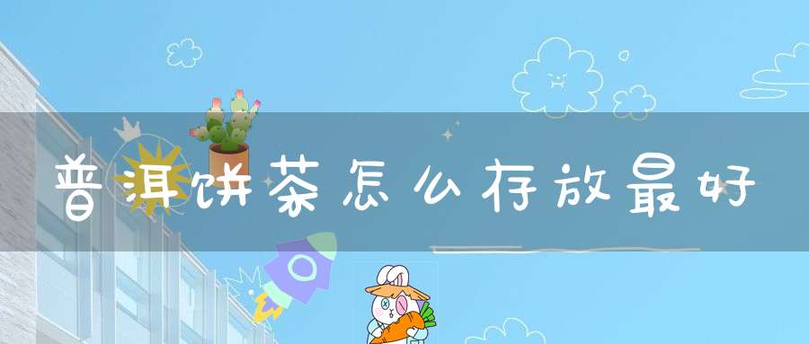 普洱饼茶怎么存放最好