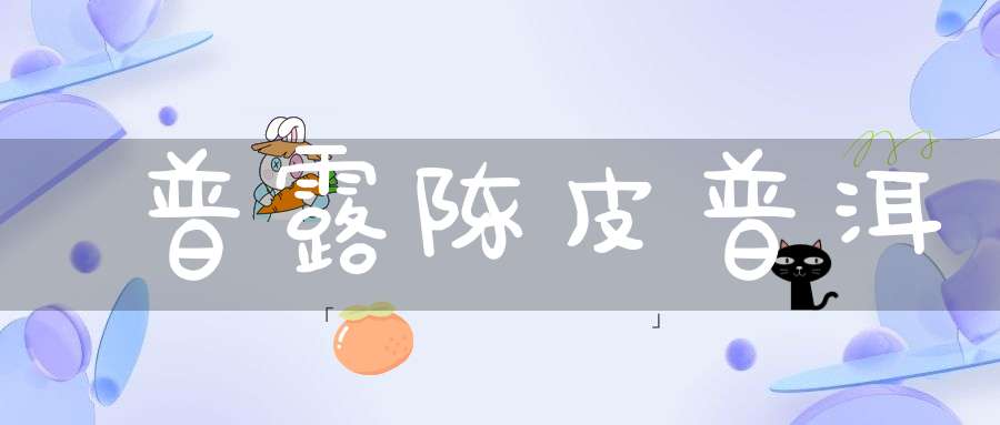 普露陈皮普洱