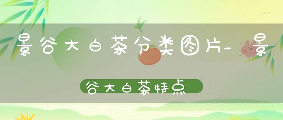 景谷大白茶分类图片_景谷大白茶特点