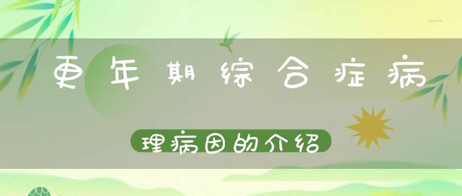 更年期综合症病理病因的介绍