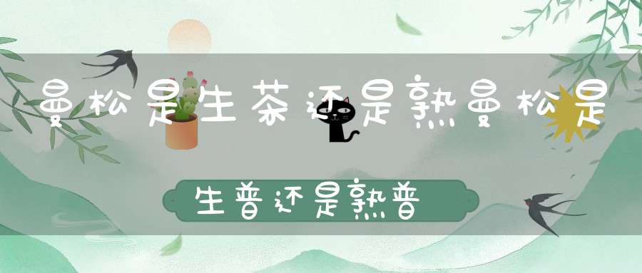 曼松是生茶还是熟曼松是生普还是熟普