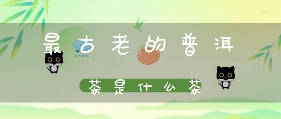 最古老的普洱茶是什么茶