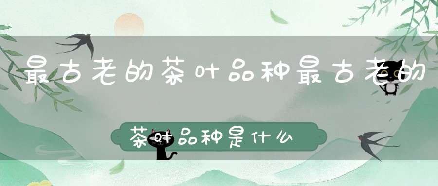 最古老的茶叶品种最古老的茶叶品种是什么茶