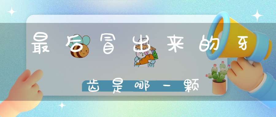 最后冒出来的牙齿是哪一颗