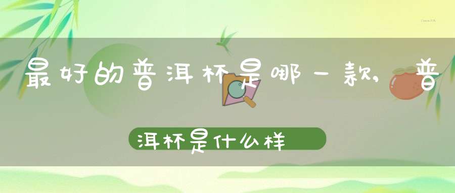 最好的普洱杯是哪一款,普洱杯是什么样