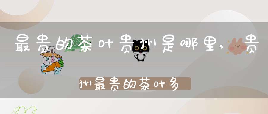 最贵的茶叶贵州是哪里,贵州最贵的茶叶多少钱一斤