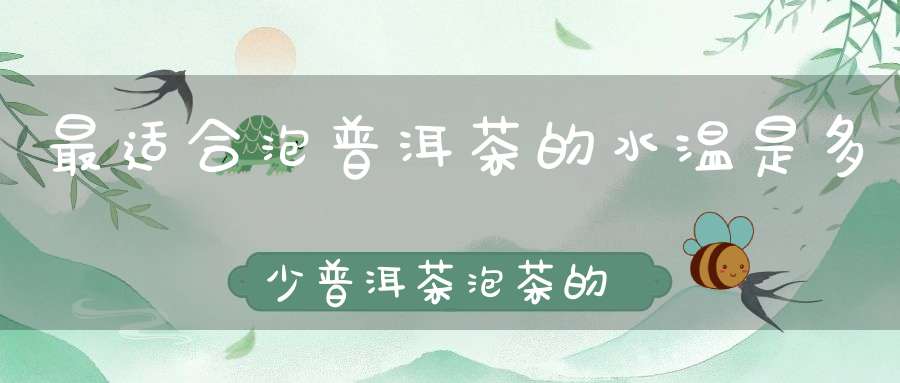 最适合泡普洱茶的水温是多少普洱茶泡茶的水温
