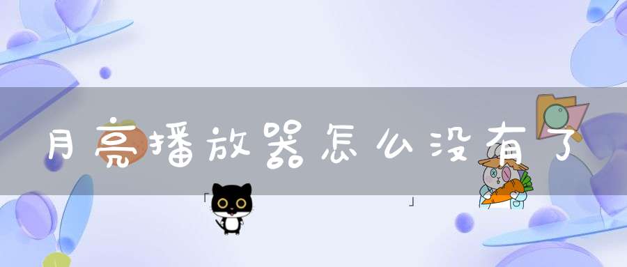 月亮播放器怎么没有了