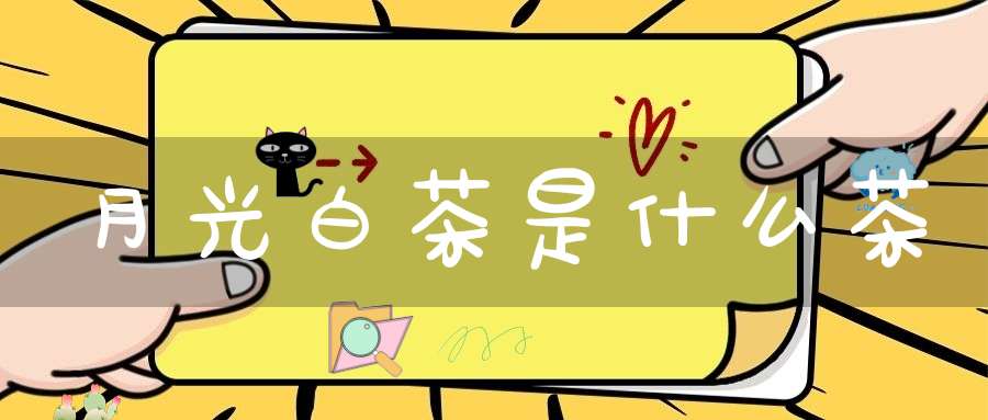 月光白茶是什么茶