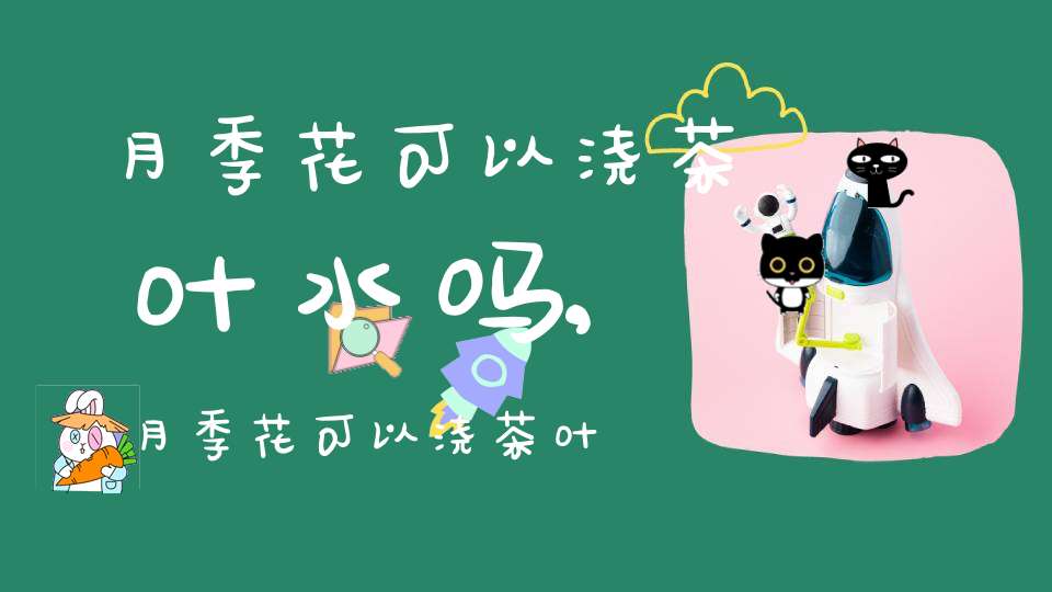 月季花可以浇茶叶水吗?,月季花可以浇茶叶水吗有毒吗