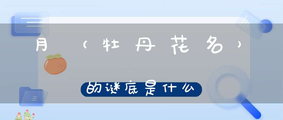 月 （牡丹花名）的谜底是什么?