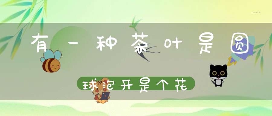 有一种茶叶是圆球泡开是个花