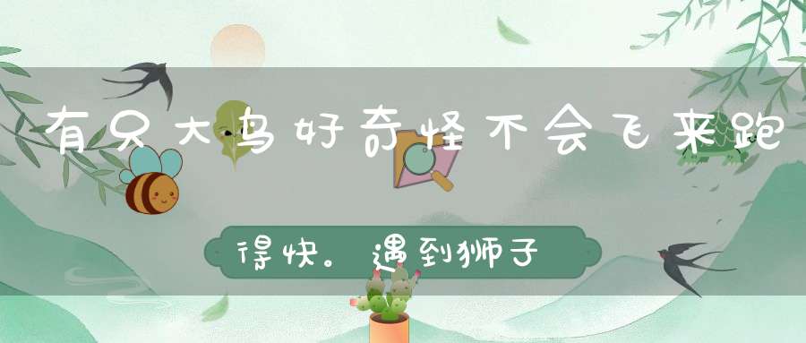 有只大鸟好奇怪，不会飞来跑得快。遇到狮子来侵犯，一脚踢它三尺外。 （猜一动物）