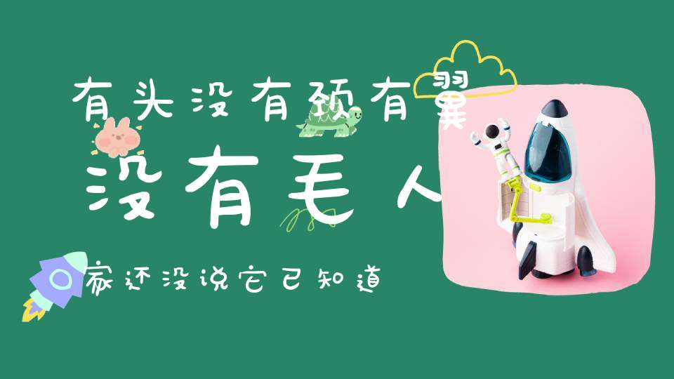 有头没有颈，有翼没有毛，人家还没说，它已知道了。