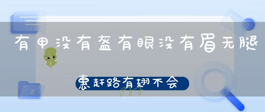有甲没有盔，有眼没有眉，无腿惠赶路，有翅不会飞（打一动物）