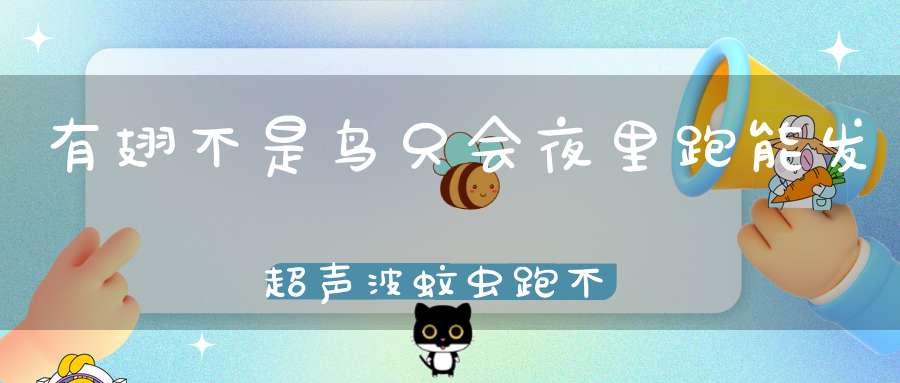 有翅不是鸟，只会夜里跑，能发超声波，蚊虫跑不了。 （猜一动物）
