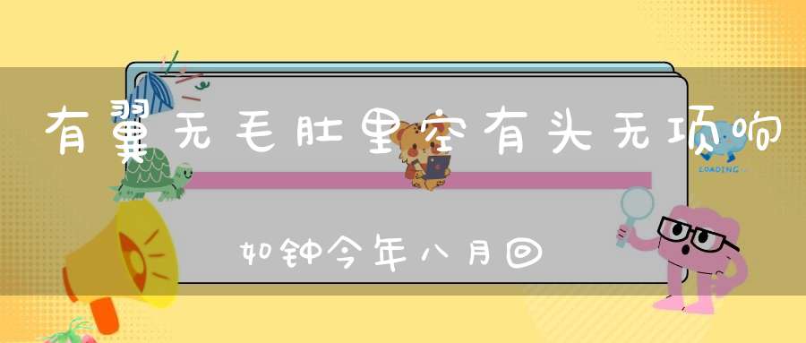 有翼无毛肚里空，有头无项响如钟，今年八月回家去，明年端午再相逢。 （猜一动物）