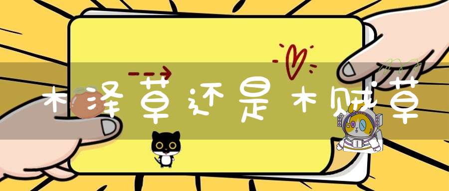 木泽草还是木贼草？