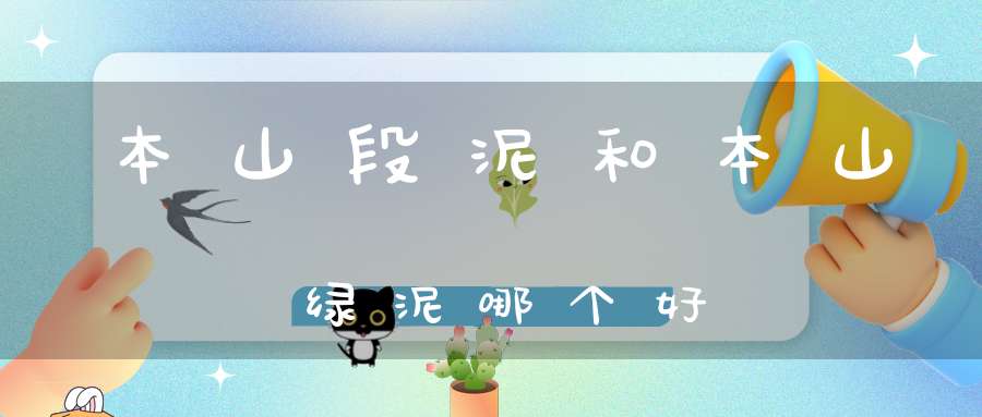 本山段泥和本山绿泥哪个好