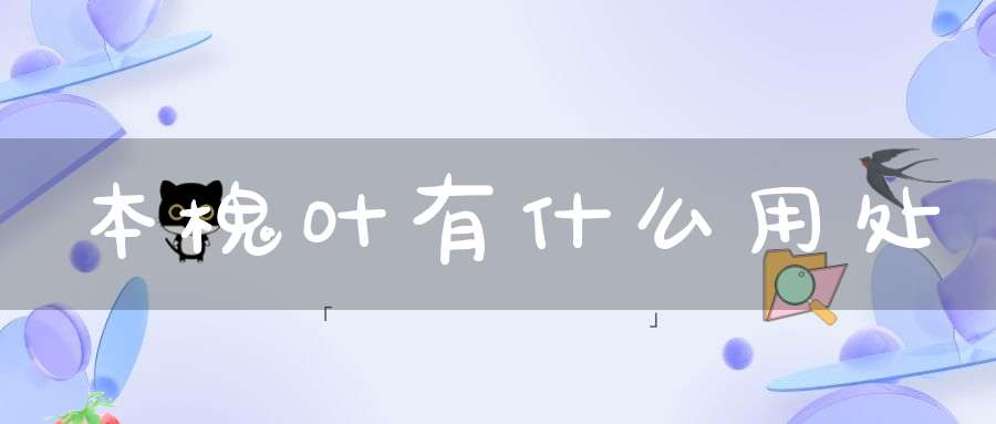 本槐叶有什么用处