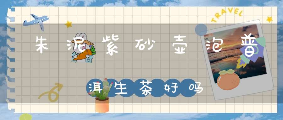 朱泥紫砂壶泡普洱生茶好吗?