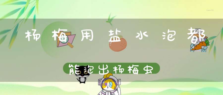 杨梅用盐水泡都能泡出杨梅虫？