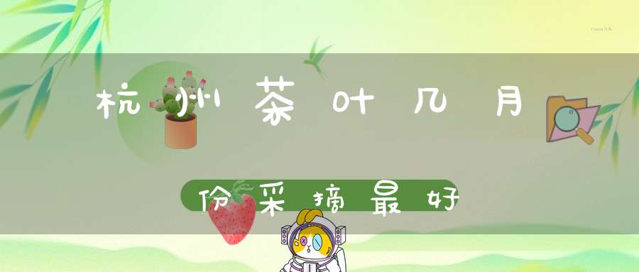 杭州茶叶几月份采摘最好