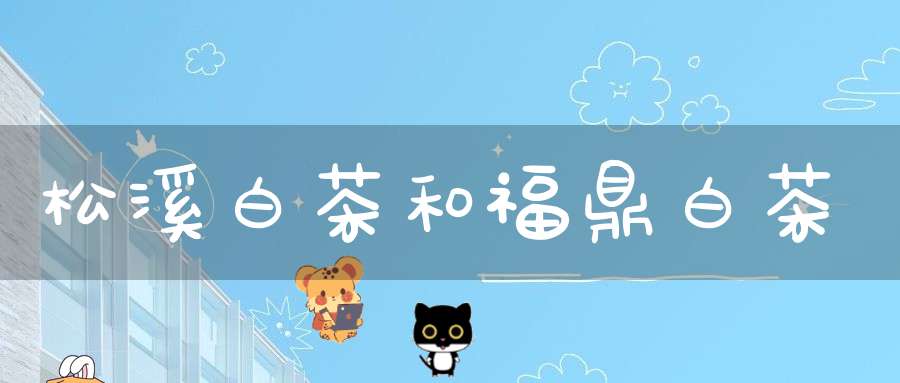 松溪白茶和福鼎白茶
