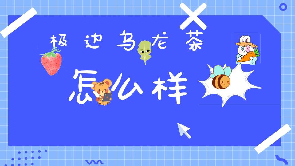 极边乌龙茶怎么样