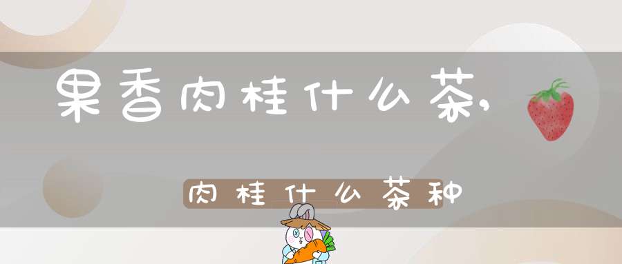 果香肉桂什么茶,肉桂什么茶种