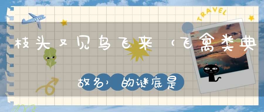 枝头又见鸟飞来 （飞禽类典故名）的谜底是什么?