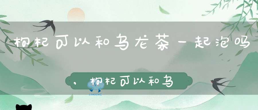 枸杞可以和乌龙茶一起泡吗,枸杞可以和乌龙茶一起喝吗