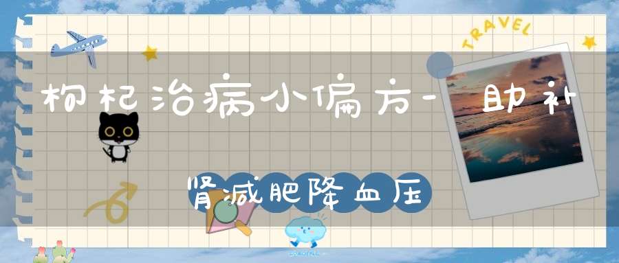 枸杞治病小偏方-助补肾减肥降血压