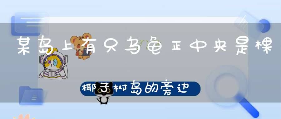 某岛上有只乌龟，正中央是棵椰子树，岛的旁边还有一座岛，乌龟想