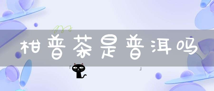 柑普茶是普洱吗
