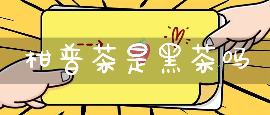 柑普茶是黑茶吗