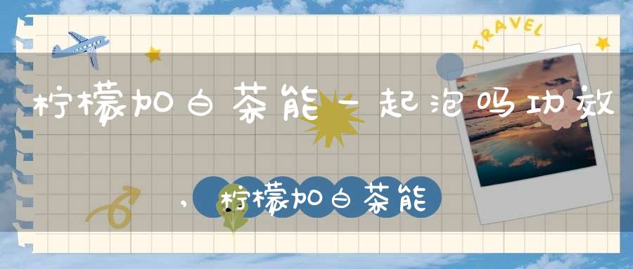 柠檬加白茶能一起泡吗功效,柠檬加白茶能一起泡吗百度百科